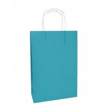 BOLSA CELESTE 19X30