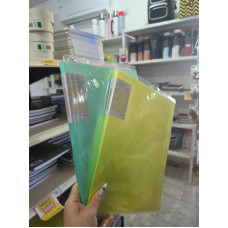 CARPETA CON FOLIOS X20