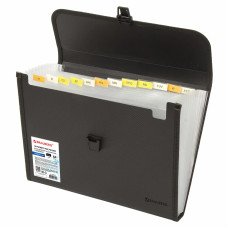 CARPETA ORGANIZADORA A4 13 FOLIOS