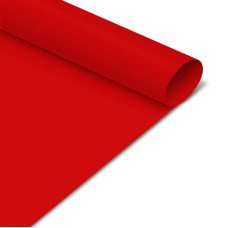 CARTULINA CARPEL ROJA 60 x 40 cm