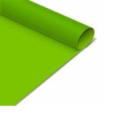 CARTULINA CARPEL VERDE CLARO 60 x 40 cm