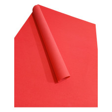 GOMA EVA LISA 40X60 ROJO